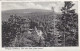 AK 193529 GERMANY - Hohegeiß / Hochharz - Blick Zum Hotel Dicke Tannen - Oberharz