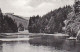 AK 193582 GERMANY - Harz - Neuer Teich Zwischen Zorge Und Hohegeiß - Oberharz