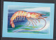 MARINE LIFE - TUNISIA - 1999 - POSTCARD TO  GERMANY WITH CRUSTACEANS SET OF 3 IMPERF - Crustaceans