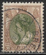 Vertikaal Bruin Streepje Naast De Rechterbovenhoek In 1919 22½ Cent Bruin / Groen Kon. Wilhelmina NVPH 70 - Plaatfouten En Curiosa