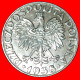 * OCCUPATION BY GERMANY (1939-1944): POLAND  50 GROSHES 1938 UNCOMMON!  · LOW START ·  NO RESERVE! - Military Coin Minting - WWII