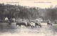 FRANCE - Le Vieux Chaumont - Au Paturage - Vaches - Carte Postale Ancienne - Autres & Non Classés