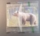 Norway N 199 ,Bear , Mint In Blister - Norway