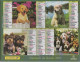 CALENDRIER ANNEE 2003, COMPLET, MULTIVUE, CHIOTS CHATONS COULEUR  REF 13862 - Grand Format : 2001-...