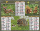 CALENDRIER ANNEE 2009, COMPLET, MUILTIVUE, ANIMAUX DE LA FORETS COULEUR  REF 13868 - Grossformat : 2001-...