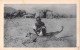 25337 " ERITREA-CACCIA GROSSA " ANIMATA-VERA FOTO-CART. NON SPED. - Eritrea