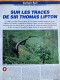 Vie Du Rail 1994 2450 LIPTON SRI LANKA RAILWAYS CEYLAN COLOMBO ANGULANA HIKKADUW - Trains