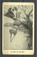 A Fair Plunger, Post Card Used In USA Wassersprung Woman Diving - Schwimmen