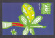 Cuba 2007 - Happy New Year, Postal Stationary, Mint - Storia Postale