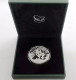 China 2024  Panda Silver Coin 30g  Ag.999  With Box & Certificate 1Pcs Coin RMB 10 Yuan - Chine