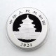 China 2024  Panda Silver Coin 30g  Ag.999  With Box & Certificate 1Pcs Coin RMB 10 Yuan - Chine