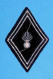 Militaria , écusson Tissu, Grenade, Fond Noir, 2 Scans - Patches