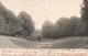 BELGIQUE - Bruxelles - Bois De La Cambre - Le Ravin - Carte Postale Ancienne - Sonstige & Ohne Zuordnung
