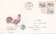 COOK   COVERS FDC  CIRCULATED 1976 Tchécoslovaquie - Lettres & Documents