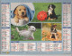 CALENDRIER ANNEE 2014, COMPLET, MULTIVUE, CHIOTS COULEUR REF 13884 - Formato Grande : 2001-...