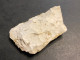 L106 Silex Burin Trouvé à Troussencourt  (Oise ) Longueur 9 Cm Néolithique - Archéologie