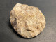 L110 Silex Grattoir Trouvé à Troussencourt  (Oise ) Longueur 6 Cm Néolithique - Arqueología