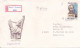 FAMOUS PEOPLE 2 COVERS FDC  CIRCULATED 1982 Tchécoslovaquie - Covers & Documents