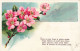 FLEURS,PLANTES & ARBRES - Fleurs - Sans Un Peu D'eau La Plante Expire.. - Carte Postale Ancienne - Flowers