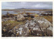 AK 194238 IRELAND - County Galway - Connemara - Bertraghboy Bay - Galway