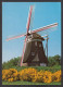 108779/ AALDEN, Jantina Helling Bergkorenmolen - Coevorden