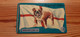 Phonecard United Kingdom Mercury 20MERA - Dog, England - Mercury Communications & Paytelco