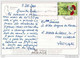 Hammamet - Taxi Taxis Cars Voitures - Timbre Stamp - Tunisia - Tunisie ( 2 Scans ) - Taxis & Droschken