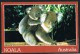 Australia - Koalas - Used Stamp Timbre ( 2 Scans ) - Indonésie