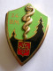 INSIGNE 54° BM BATALLION MEDICAL - DRAGO PARIS G 1076 - Services Médicaux