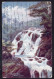 England - 1911 - Conwy - Betws-y-Coed - Swallow Falls - Caernarvonshire