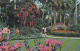 AK 194542 USA - Florida - St. Petersburg - Sunken Gardens - St Petersburg