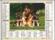 Calendrier 2012 Photos, Chiens, Famille Bergers Allemands, Chiots - Beau Golden Retriever, Paysage Enneigé - Formato Grande : 2001-...