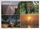 Timbre , Stamp " Transport : Camion " Sur Cp , Carte , Postcard Du 04/03/96 - Zimbabwe (1980-...)