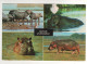 Timbre , Stamp " Animal Mammifère : Rhinocéros " Sur Cp , Carte , Postcard Du 04/06/81 ( Pelurage Coté Vue ) - Zimbabwe (1980-...)