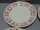 -5 ASSIETTES PLATES DEMI PORCELAINE BADONVILLER Modèle CERISES Table  E - Badonviller (FRA)