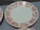 -5 ASSIETTES PLATES DEMI PORCELAINE BADONVILLER Modèle CERISES Table  E - Badonviller (FRA)