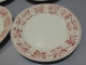 Delcampe - -5 ASSIETTES PLATES DEMI PORCELAINE BADONVILLER Modèle CERISES Table  E - Badonviller (FRA)