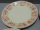 Delcampe - -5 ASSIETTES PLATES DEMI PORCELAINE BADONVILLER Modèle CERISES Table  E - Badonviller (FRA)