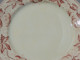 Delcampe - -5 ASSIETTES PLATES DEMI PORCELAINE BADONVILLER Modèle CERISES Table  E - Badonviller (FRA)