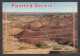 114920/ Arizona, The Painted Desert - Other & Unclassified