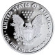 DOLAR DE PLATA AMERICAN EAGLE CALIDAD PROOF 2020 DE 1 ONZA. - Unclassified