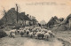 FRANCE - Grèves Du Mont Saint Michel - Une Rue Du Village De La Rive, Le Départ Du Troupeau  - Carte Postale Ancienne - Le Mont Saint Michel