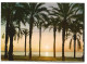 SALIDA SOL (PLAYA DEL POSTIGUET) / SUNRISE (BEACH OF POSTIGUET).-  ALICANTE.- ( ESPAÑA ) - Alicante