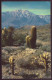 ETATS UNIS A DESERT PANORAMA - Palm Springs