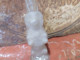 Delcampe - Ancienne Petite Bouteille Verre Sujet Legras Chien Caniche - Glas & Kristal