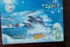 Polar Bear,Dolphin,Antarctic Penguin,Arctic Walrus,CN07 Qingdao Polar Aquarium New Year Pre-stamped Letter Card - Delfines