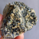 #1.53 Cristalli Nero-blu QUARZO 'beta' Con Rose Di Barite (Modena, Italia) - Mineralen