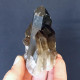 #03 – SCHÖNE MORIONE QUARZ Kristalle (Kara-Oba, Moiynkum, Jambyl, Kasachstan) - Mineralen