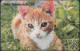 Schweden Chip 261 Kitten - Cat - Katze  (60111/267) - 4309188 - Mint - Zweden