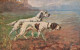 Chasse - Cpa Illustrateur SAMSON - Chiens De Chasseurs De Race ? - Hunt Hunting Dog - Chasse